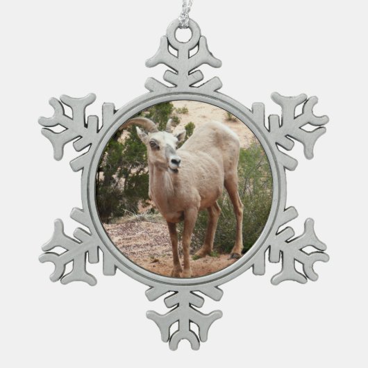 Funny Bighorn Sheep in Zion National Park Tin Sneeuwvlok Ornament (Voorkant)