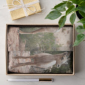 Funny Bighorn Sheep in Zion National Park Tissuepapier (Geschenk)