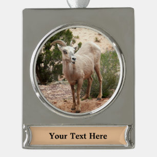 Funny Bighorn Sheep in Zion National Park Verzilverd Banner Ornament