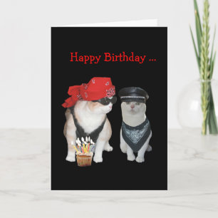 Funny Biker Cat Birthday Kaart