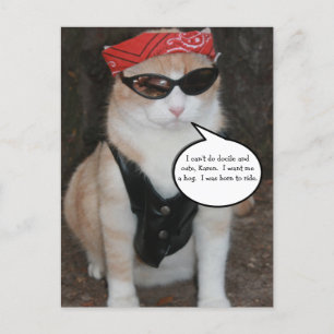Funny Biker Cat Meme Briefkaart