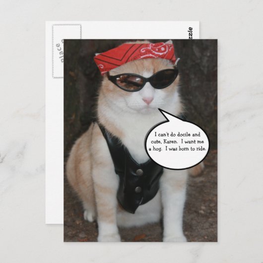 Funny Biker Cat Meme Briefkaart (Voorkant / Achterkant)