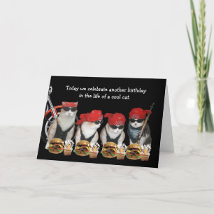 Funny Biker Cats Birthday Card Kaart