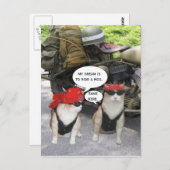 Funny Biker Cats Briefkaart (Voorkant / Achterkant)