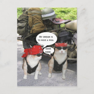 Funny Biker Cats Briefkaart