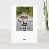 Funny Biker Cats Valentijn/Jubileum Feestdagen Kaart (Achterkant)