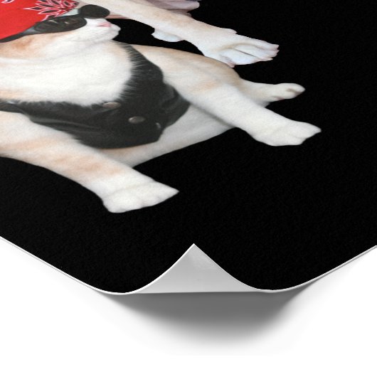 Funny Biker Pets Poster (Hoek)
