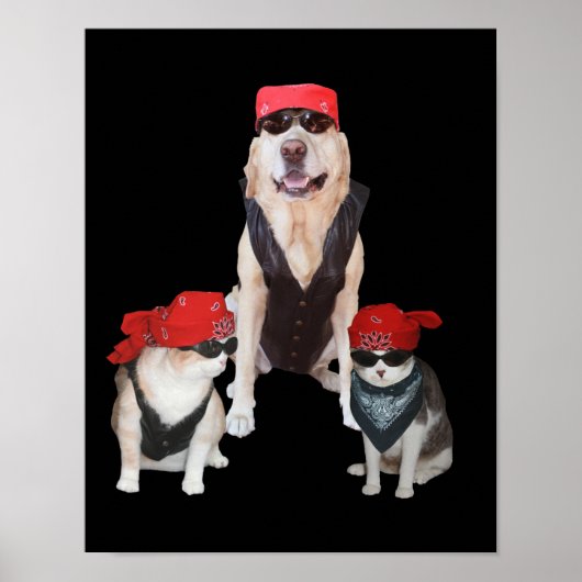 Funny Biker Pets Poster (Voorkant)