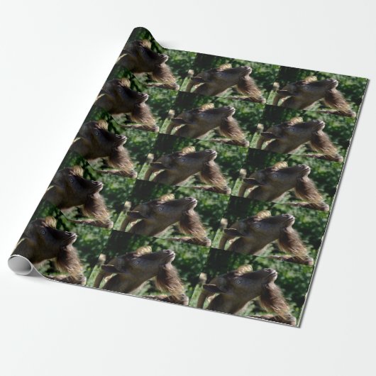 Funny Billy Goat Portrait Cadeaupapier (Uitgerold)