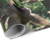 Funny Billy Goat Portrait Cadeaupapier (Rol Hoek)