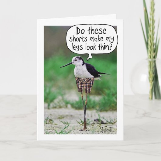 FUNNY BIRD SHORTS Kaart of gift (Voorkant)