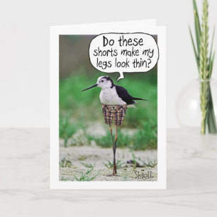 FUNNY BIRD SHORTS Kaart of gift