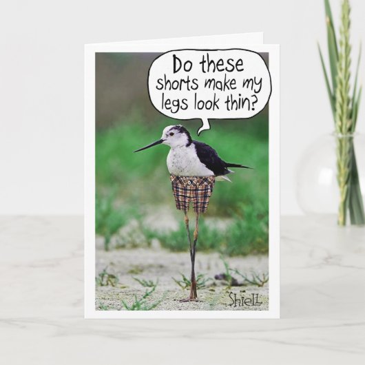 FUNNY BIRD SHORTS Kaart of gift (Voorkant)