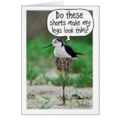 FUNNY BIRD SHORTS Kaart of gift (Voorkant)