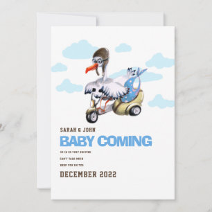 Funny Bird Simple Cute Modern Boy Pregnancy Aankondiging