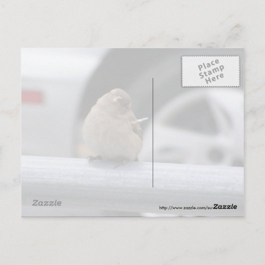 Funny Bird, Sparrow Briefkaart (Achterkant)