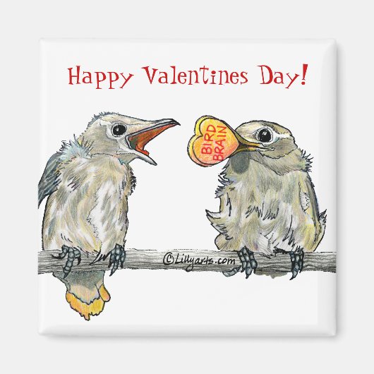 Funny Birds Happy Valentines Day Magnet (Voorkant)