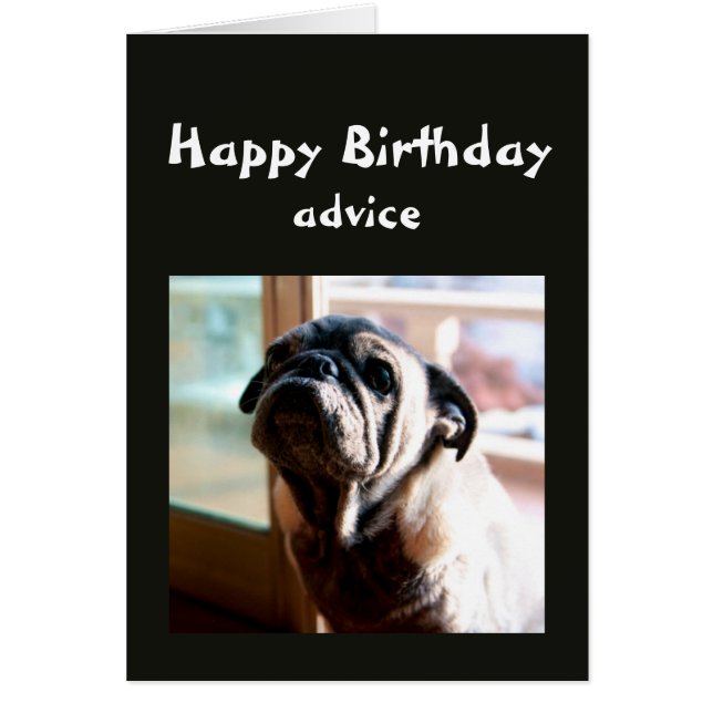 Funny Birthday Advice on Lighting from Pug Dog (Voorkant)