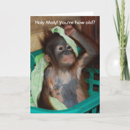 Funny Birthday Baby Orangutan Kaart