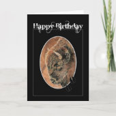 Funny Birthday, Bison, Buffalo Animals Kaart (Voorkant)