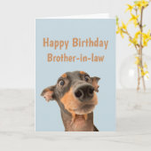 Funny Birthday Brother-in-law Shocked Dog Animal Kaart (Gele Bloem)