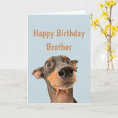 Funny Birthday Brother Shocked Dog Animal Humor Kaart (Gele Bloem)