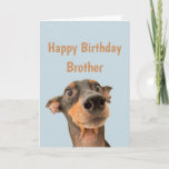 Funny Birthday Brother Shocked Dog Animal Humor Kaart<br><div class="desc">Veel plezier op je verjaardag,  zodat je huisdier zich zorgen maakt. Happy Birthday voor Brother met een grappig vers binnenin en een schokkende hond</div>