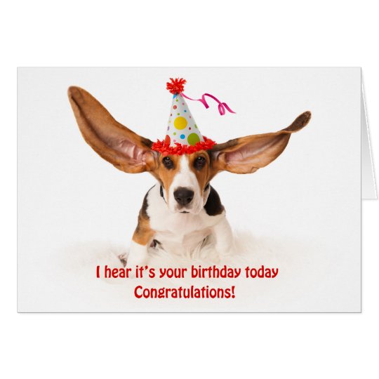 Funny birthday card Basset hound dog with big ears Kaart