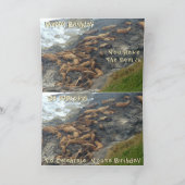 Funny Birthday Card Kaart (Binnen)