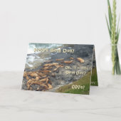 Funny Birthday Card Kaart (Voorkant)