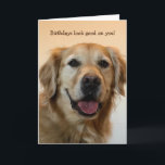 Funny Birthday Card Kaart<br><div class="desc">Grappige gouden retriever verjaardagskaart voor iedereen van iemand of van de hond. Deze kaart is aanpasbaar met uw persoonlijke bericht of naam.</div>