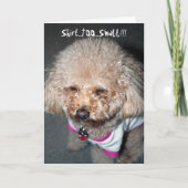 Funny Birthday Card Kaart (Voorkant)