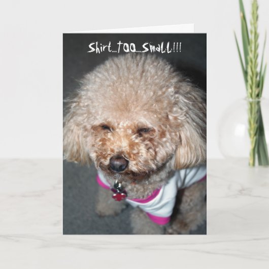 Funny Birthday Card Kaart (Voorkant)