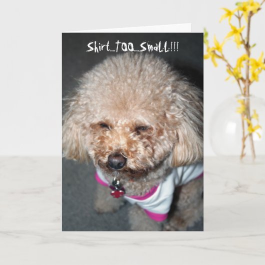 Funny Birthday Card Kaart (Gele Bloem)