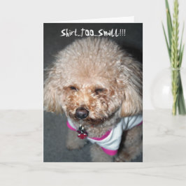 Funny Birthday Card Kaart