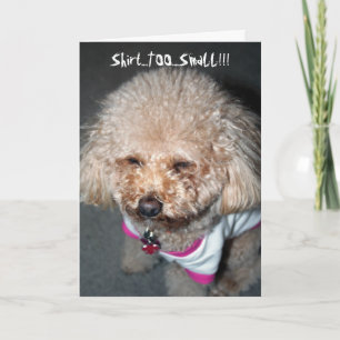 Funny Birthday Card Kaart