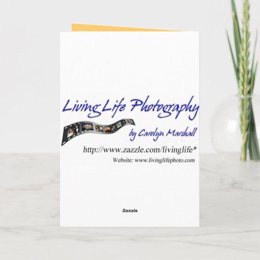 Funny Birthday Card Kaart (Achterkant)