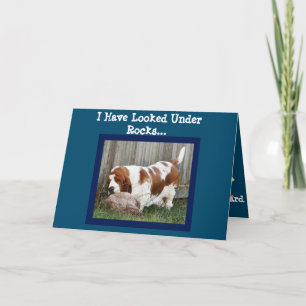 Funny Birthday Card met Cute Basset-zoektocht Kaart