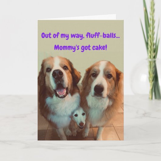 Funny Birthday Card Short Dog met Fluffy Dogs Kaart (Voorkant)