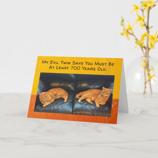 Funny Birthday Card Twin cats denken dat je oud be Kaart (Gele Bloem)