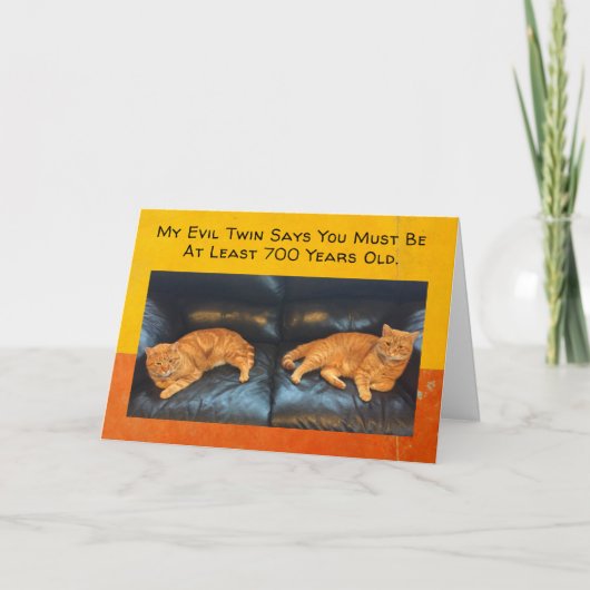 Funny Birthday Card Twin cats denken dat je oud be Kaart (Voorkant)