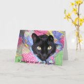 Funny Birthday Card: Verpakte zwarte kat Kaart (Gele Bloem)
