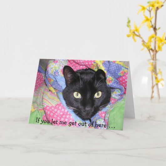 Funny Birthday Card: Verpakte zwarte kat Kaart (Gele Bloem)