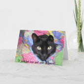 Funny Birthday Card: Verpakte zwarte kat Kaart (Voorkant)