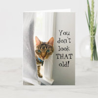 Funny Birthday Compliment Cat Kaart
