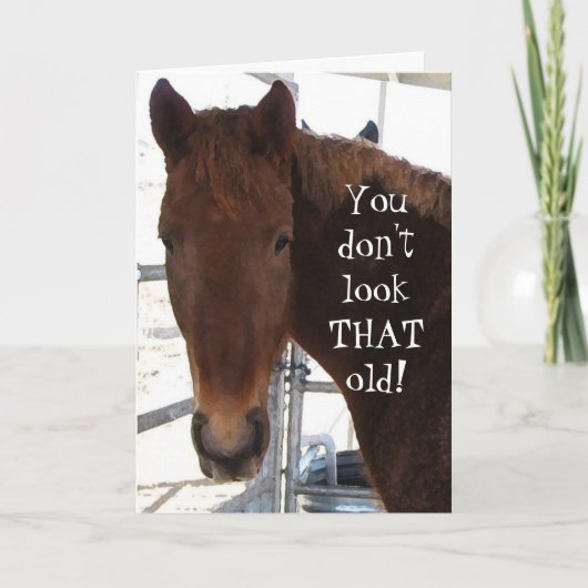 Funny Birthday Compliment TWH Horse Western Kaart (Voorkant)