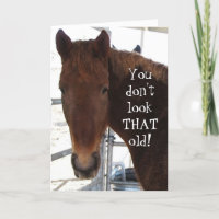 Funny Birthday Compliment TWH Horse Western