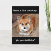 Funny Birthday Corgi met Bone Kaart (Voorkant)