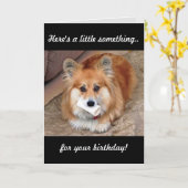 Funny Birthday Corgi met Bone Kaart (Gele Bloem)
