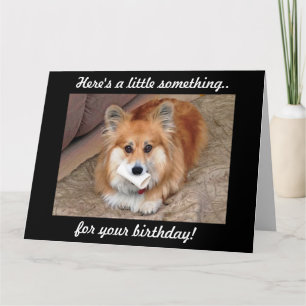 Funny Birthday Corgi met Bone Kaart